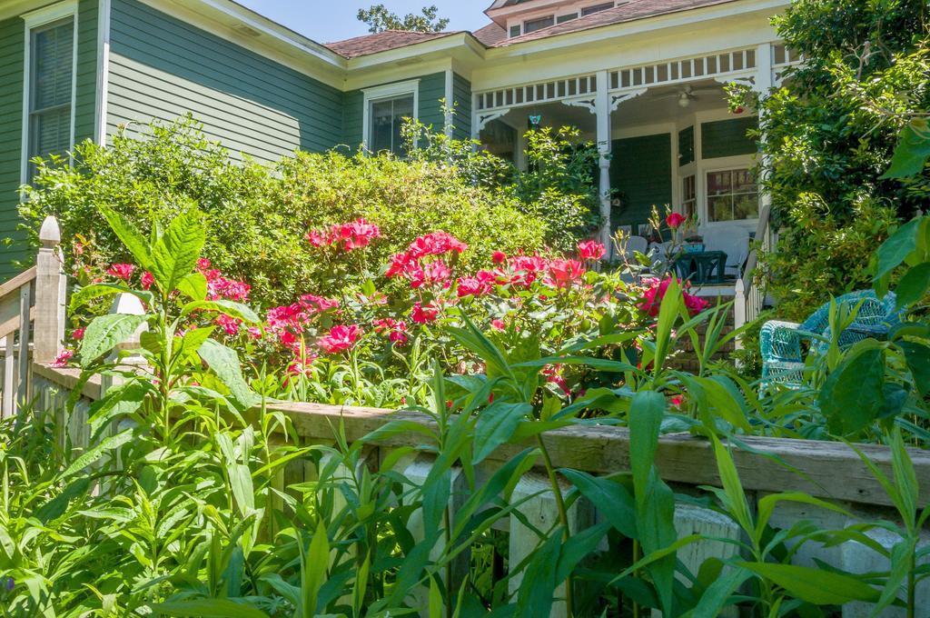 Holly House Of Hamilton Bed & Breakfast Exterior photo